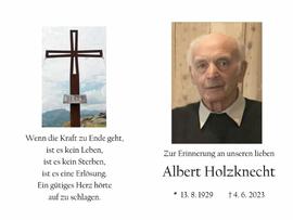 Holzknecht Albert