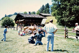 Kekswerbung: "Höfemuseum Kramsach"