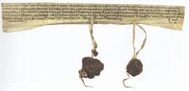 Historischer_Urkundenausschnitt