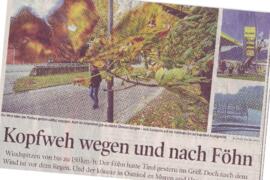 Kopfweh wegen Föhn