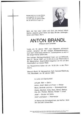 Brandl, Anton