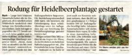 Rodung der Heidelbeerplantage gestartet