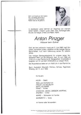 Pinzger, Anton