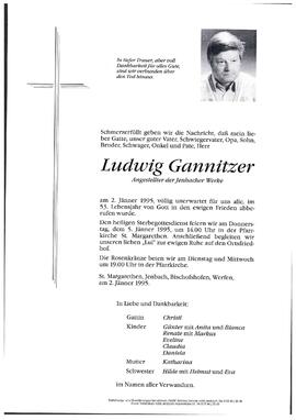Ganitzer, Ludwig
