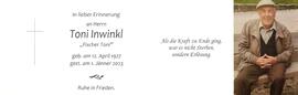Anton Inwinkl, Fischer Toni