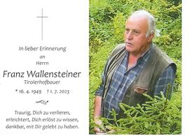 Franz Wallensteiner