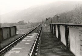 Eisenbahnbrücke über Debantbach