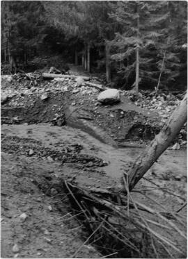 Hochwasser November 1966