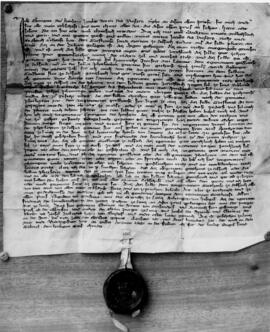 Stiftungsurkunde von 1344