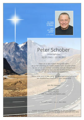 Peter Schober, Unternehmer