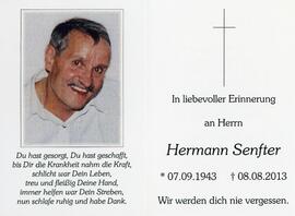Hermann Senfter 08 08 2013
