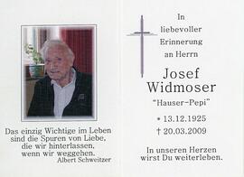 Josef Widmoser Hauser 20 03 2009