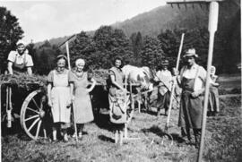 Familie Astner Sattler mit Arbeitsmaid bei der Heuernte 1942