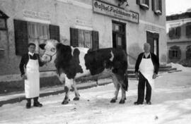 Postwirt Ebbs Hörhager Richard und Vater Josef mit Stier vor Metzgerei ca 1957