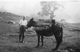 Mann mit Pferd mit Holzlast Steinberg Juni 1946