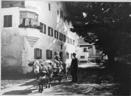 Unterwirt Moarvater Hager aus Oberndorf auf dem Weg zur Mühle mit Kuhgespann und Kinder 1927