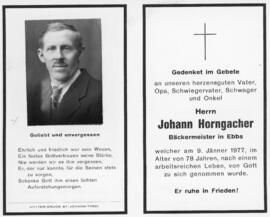 Johann Horngacher Bartlbäck 09 01 1977