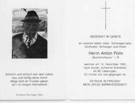 Anton Polin Buch224