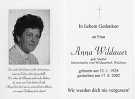 Anna Wildauer Walchsee 299