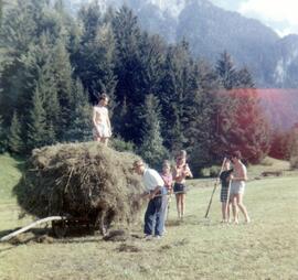 Heuernte Polin Bauernhaus Buch St Nikolausweg 5 ca 1950