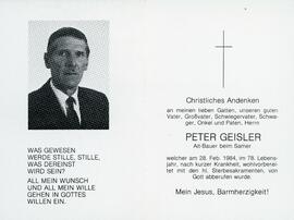 Peter Geisler Samer 28  02 1984