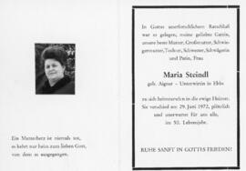 Maria Steindl Unterwirt 055