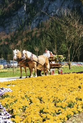 Georgiritt Ebbs 1998 003