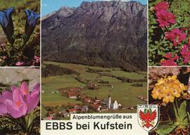 Postkarte Ebbs Dorf und Alpenblumen ca 1960