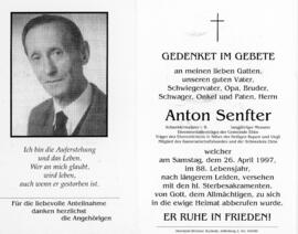 Anton Senfter Mesner 174