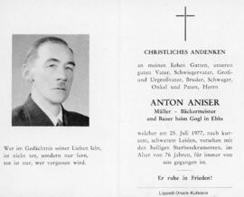 Anton Aniser geb 1900 Gogl 081