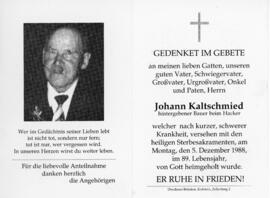 Johann Kaltschmied Hacker 265