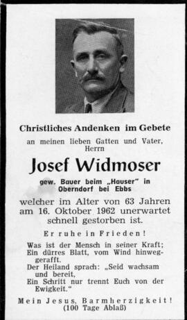 Josef Widmoser Hauser 021