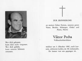 Viktor Pecha 250