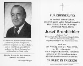 Josef Kronbichler Saliterer 169