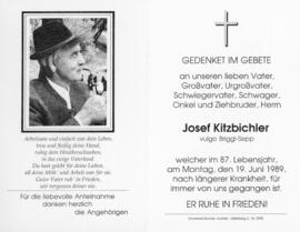 Josef Kitzbichler Briggl 282