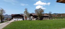 Bauernhof Hinterhaslinger Ebbs Buchberg