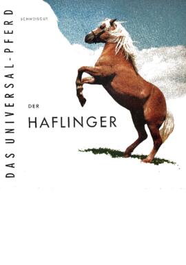 Der Haflinger - Bildwerk von Otto Schweisgut 1961