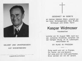 Kaspar Widmoser 205
