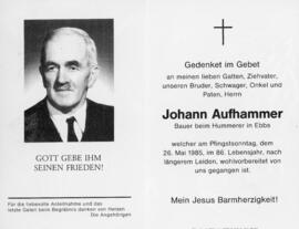 Johann Aufhammer Hummerer 223