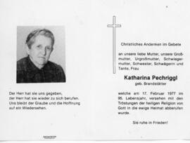 Katharina Pachriggl geb Brandstätter 17 02 1977