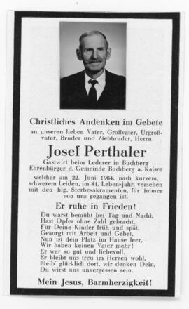 Josef Perthaler Lederer 22 06 1964