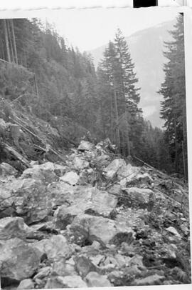Anlegung Schiwegtrasse