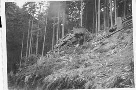 Anlegung Schiwegtrasse