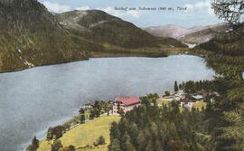3326,Ansichtskarte, Achensee, Seehof