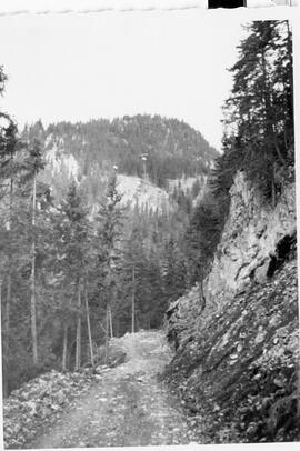 Anlegung Schiwegtrasse