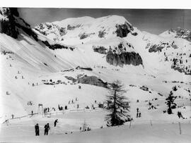 Voller Schibetrieb, Blick Richtung Mauritzalm
