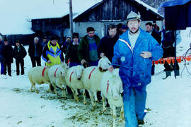 Schafzuchtverein 50 Jahre