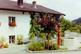 Aus Dorf und Feld