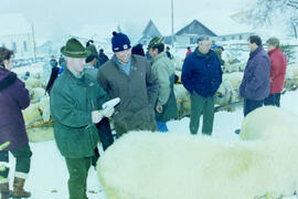 Schafzuchtverein 50 Jahre