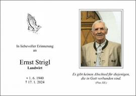 Ernst Strigl